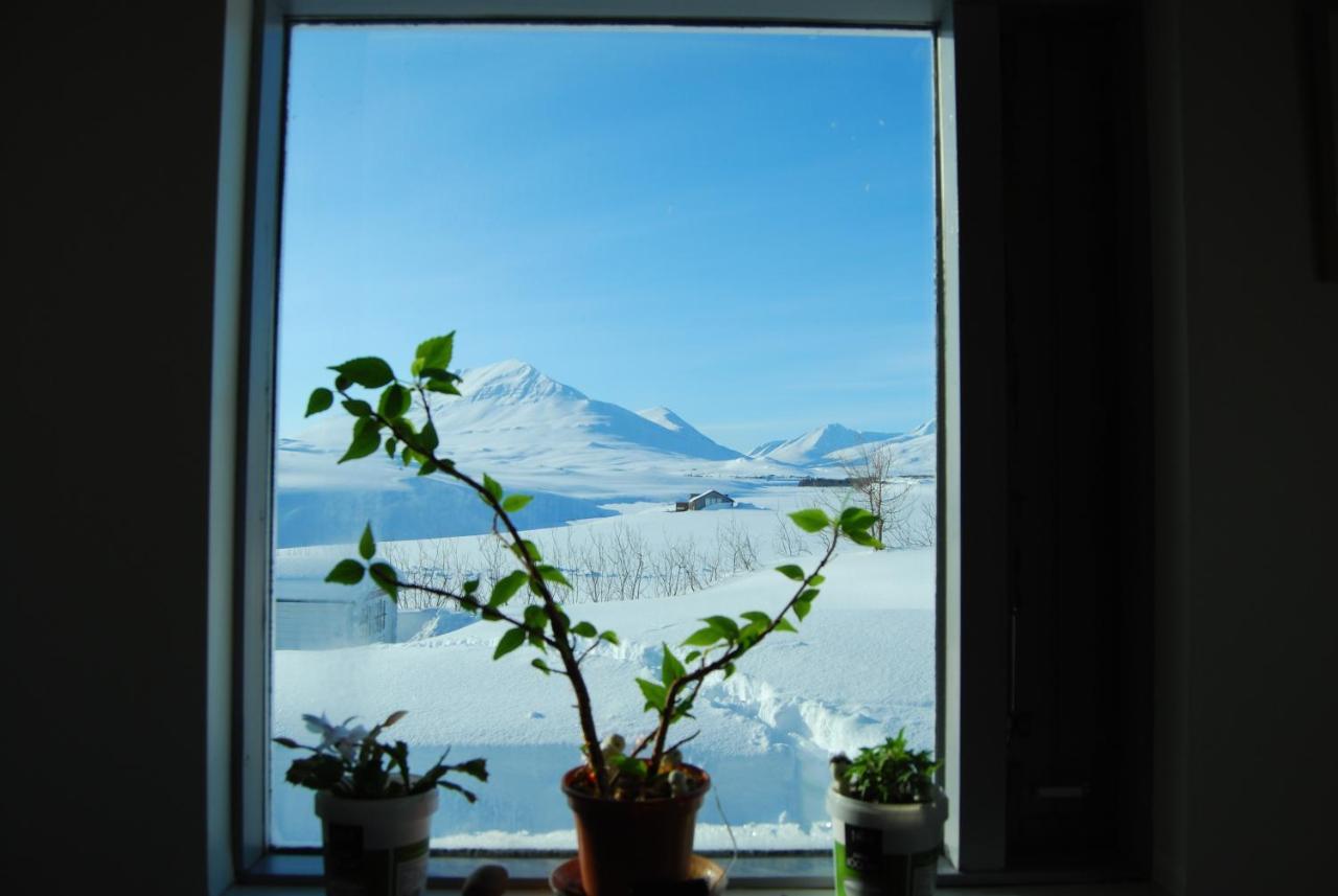 L&L Bnb - Stay'In Arbakki Arskogssandur Extérieur photo